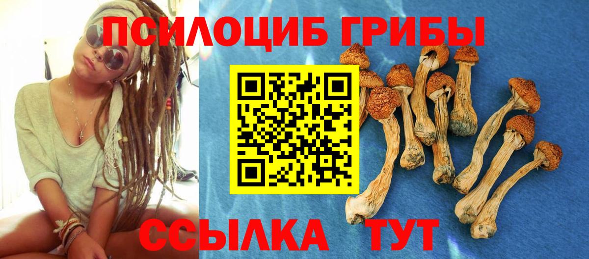 Кимовск  купить   Вход с VPN  Псилоцибиновые грибы мухоморы  Галлюциногенные грибы мицелий 